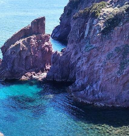 Capraia Per Te Ilha Capraia Exterior foto